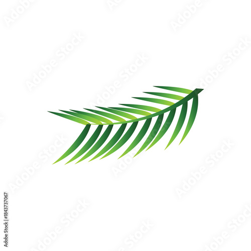 Original name(s): Tree Bough, Knur, Knurr Design, Lota. pata