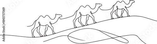 Camels in desert.one line  vector illustration  with out background