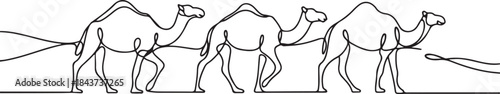 Camels in desert.one line  vector illustration  with out background