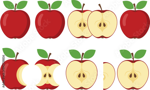 Apple fruit vector illustration set showing whole bitten sliced and halved apples, fresh food icons collection
