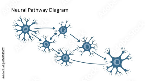 Diagram illustrating the communication flow within a neural network and its interconnected pathways