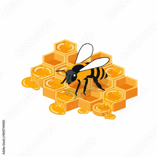 Honey Bee on Golden Honeycomb with Dripping Honey.