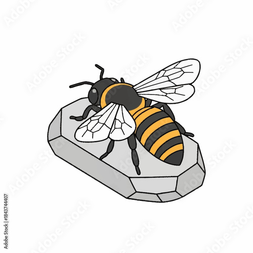 Honey Bee Resting on a Gray Stone.