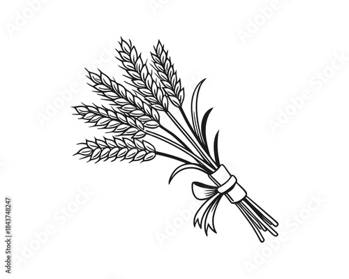 A detailed black and white sketch of a bundle of wheat stalks, artistically rendered with a ribbon tied around them