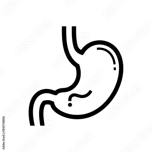 Stomach Organ with a Question Mark, Representing Digestive Issues, Health Query, or Medical Uncertainty.