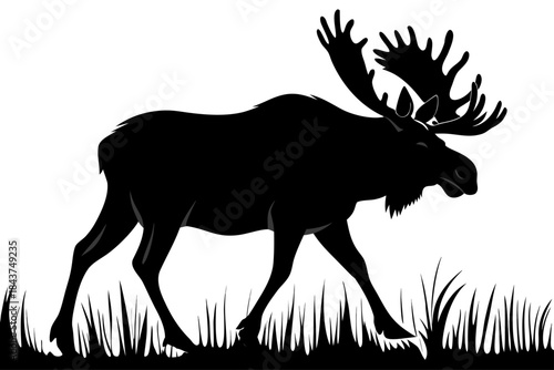 Majestic silhouette of a large bull moose with antlers walking through tall grass in a natural outdoor environment