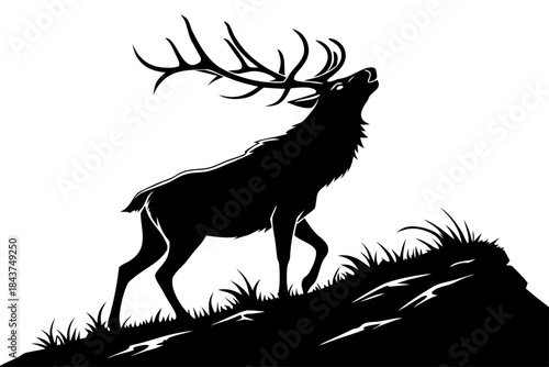 Majestic silhouette of a large stag with impressive antlers roaring or calling out on a rocky grassy hill against a bright white background