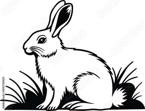 rabbit icon silhouette vector illustration
