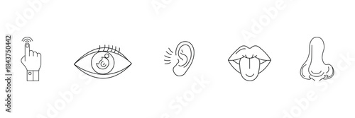 Human senses icon set. Outline vision eye, smell nose, hearing ear, touch tand, taste mouth, with tongue sensory system perception design collection silhouette vector.