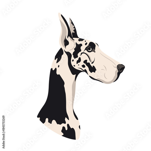 Great Dane head profile illustration with black and white fur.