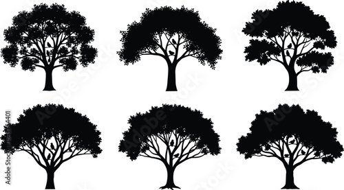 Black tree silhouettes vector illustration set, diverse forest outlines, seasonal foliage, isolated botanical elements, natural landscape design, decorative nature artwork collection for projects