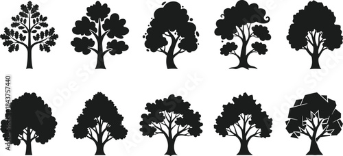Collection of deciduous tree silhouettes, nature forest black silhouette vector illustration, abstract botanical design with oak, maple, and leafy tree shapes