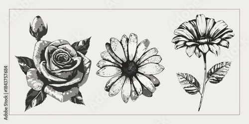 Vintage floral illustration featuring roses daisies and a budding flower