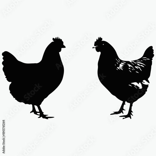 Domestic hens facing Vector icon