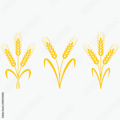 Golden stylized wheat ear representing harvest agriculture and organic food production concepts Vector icon