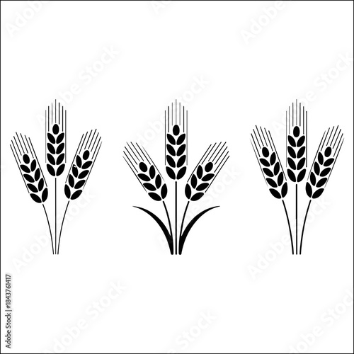 Graphic design featuring stylized bunches of harvested wheat stalks for agriculture Vector icon