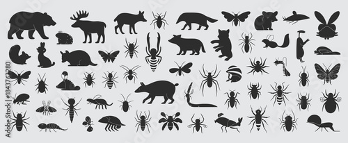 forest animals silhouettes, featuring bears, deer, foxes, wolves, owls, squirrels, and wild boars, ideal for woodland themes, nature projects, wildlife illustrations, and educational materials.