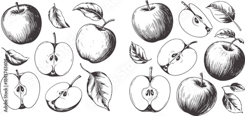 Black and white hand drawn apples and leaves stems