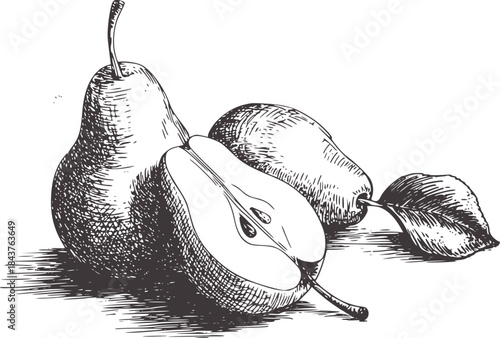 Black and white ink of a whole and halved pear with leaf