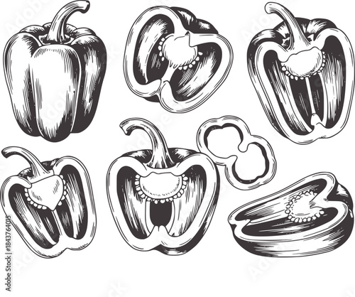 Detailed black and white ink of whole and sliced bell peppers 1