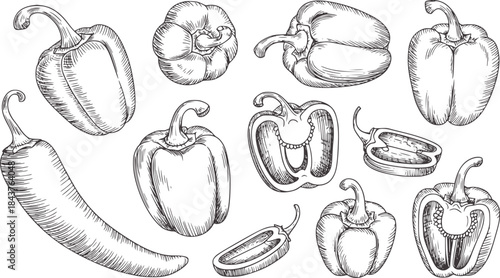 Detailed black and white line of whole and halved bell peppers