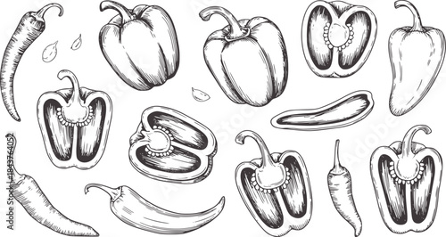 Detailed black and white line of whole and halved bell peppers and chili peppers