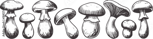 Seven black and white line mushrooms monochrome 1