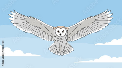 Majestic barn owl soaring gracefully with wide outstretched wings, flying against a serene blue sky dotted with soft white clouds.