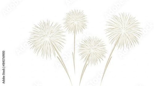 Beautiful white dandelion flowers