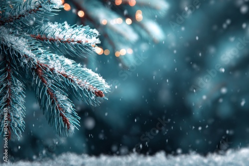 christmas tree with snow