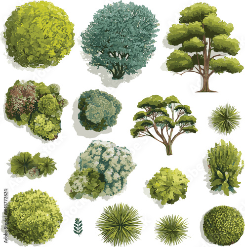 CAD Drawings trees and plants in top view, Editable vector on white background, landscape design, architectural projects, elements for environment and garden