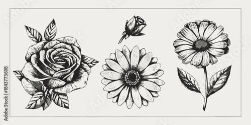 A botanical illustration featuring roses daisies and flower buds in monochrome