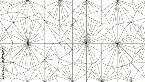 Geometric pattern with connected lines and dots forming a weblike design on a with symmetry and repetition