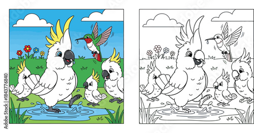 Cute cartoon cockatoo parrot family with baby chicks and flying hummingbird playing in water puddle sunny nature background vector illustration for kids