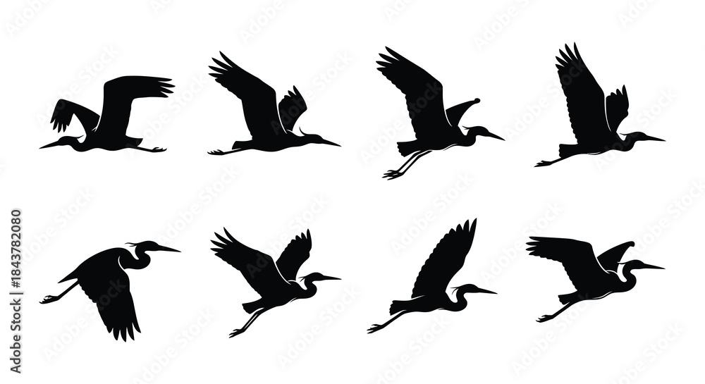 Obraz premium A collection of silhouettes depicting herons in various flight poses