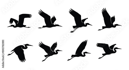 A collection of silhouettes depicting herons in various flight poses
