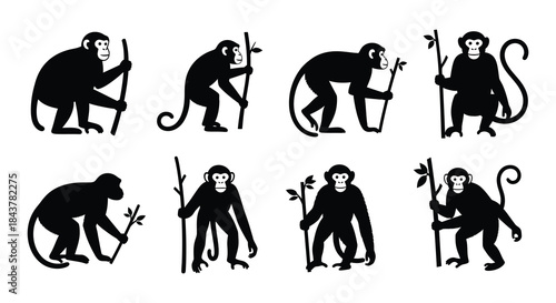 Silhouettes of monkeys walking and posed with branches in a graphic style