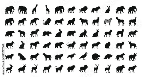 Wildlife animals silhouettes collection, African safari mammals, jungle fauna, flat vector illustration, nature wildlife icons, isolated black shapes set.