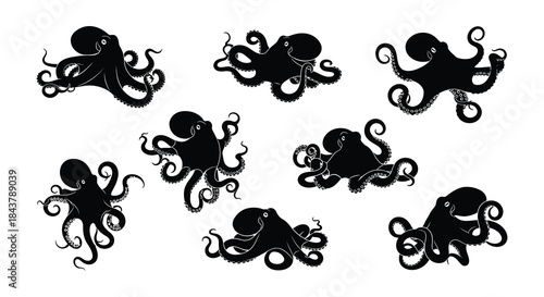 A collection of monochrome octopus illustrations in various swirling poses