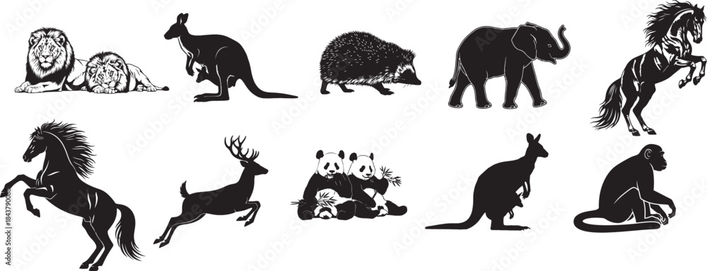 Fototapeta premium Silhouettes of diverse animals including mammals and wildlife