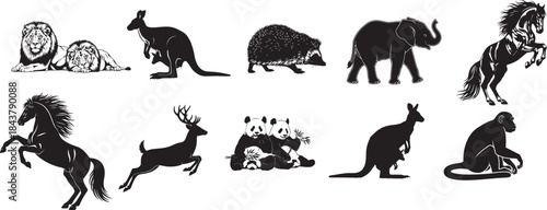 Silhouettes of diverse animals including mammals and wildlife