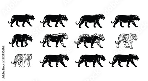 A sequence depicting a lion walking then injured and hobbling forward