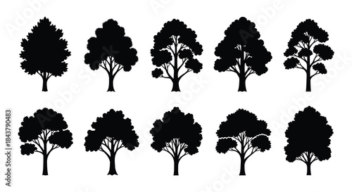 A collection of stylized black silhouette trees in varying shapes and sizes