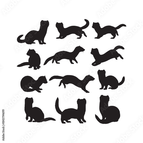 Mustela Erminea Silhouettes Collection,Ermine Silhouettes,Vector Mustela Silhouettes,Stoat Silhouettes,mustela erminea vector