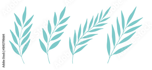 Set of minimalist eucalyptus branches in mint green