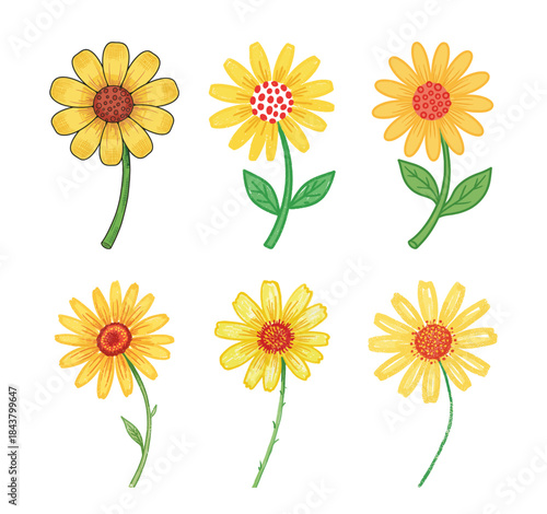 Set of hand-drawn yellow daisy flowers with green stems