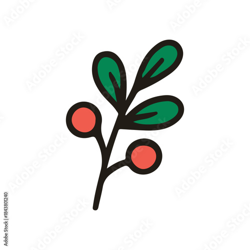 Christmas object berry leaf vector illustration. Hand drawn simple graphic elements design