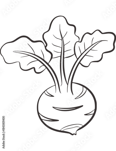 Black and white line of a radish with leaves vegetable