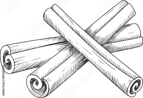 Detailed pencil of three rolled cinnamon sticks
