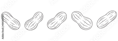 Five black and white line peanuts in shells